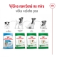 Royal Canin SHN Mini Adult 8 kg