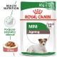 Royal Canin SHN Mini Ageing (+12) kapsičky 12x 85 g