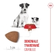 Royal Canin SHN Mini Starter Mother & Babydog 8 kg