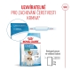 Royal Canin SHN Mini Starter Mother & Babydog 8 kg