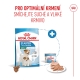 Royal Canin SHN Mini Starter Mother & Babydog 8 kg