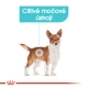 Royal Canin SHN Mini Urinary Care 3 kg ARCHIV