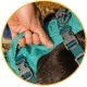 Ruffwear Flagline postroj Lichen Green vel. L/XL