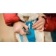 Ruffwear Flagline postroj Lichen Green vel. M