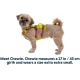 Ruffwear Flagline postroj Lichen Green vel. M