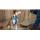 Ruffwear Flagline postroj Sage Green vel. S