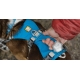 Ruffwear Flagline postroj Sage Green vel. S