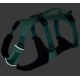 Ruffwear Flagline postroj Sage Green vel. S