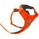 Ruffwear Front Range postroj Blaze Orange vel. M