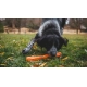 Ruffwear Gnawt-a-Stick hračka pro psy Salamander Orange 30 cm