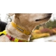Ruffwear Hi & Light obojek Lichen Green vel. XS ARCHIV