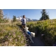 Ruffwear Trail Runner běžecký opasek zelený vel. S/M