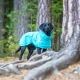 Rukka Hase Rain pláštěnka modrá vel. 40