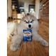 Soopa Healthy Bites pamlsky s jablkem a borůvkou 50 g