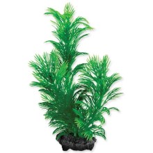 Tetra dekorativní rostlina Green Cabomba S