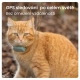 Tractive GPS Cat Mini Tracker pro kočky mentolový