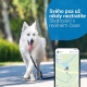 Tractive GPS Dog 4 Tracker pro psy hnědý