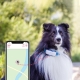 Tractive GPS DOG 4 Tracker pro psy