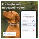 Tractive GPS Dog 6 Tracker pro psy hnědý