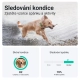 Tractive GPS Dog XL Tracker pro psy zelený