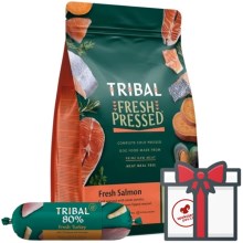 Tribal Fresh Pressed Adult Salmon 12 kg