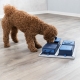 Trixie Dog Activity Pocker Box 1 interaktivní hra 31 cm