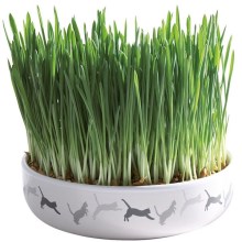 Trixie keramická miska na trávu s travním semenem 15 cm