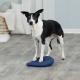 Trixie rehabilitační balanční polštářek pro psy ARCHIV