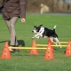 Trixie souprava přeskakovacích překážek pro malé psy