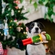 Vánoční hračka pro psy P.L.A.Y. skřítek 29 cm ARCHIV