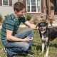 Výcvikový obojek PetSafe Smart Dog Trainer ARCHIV