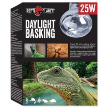 Žárovka Repti Planet Daylight 25 W